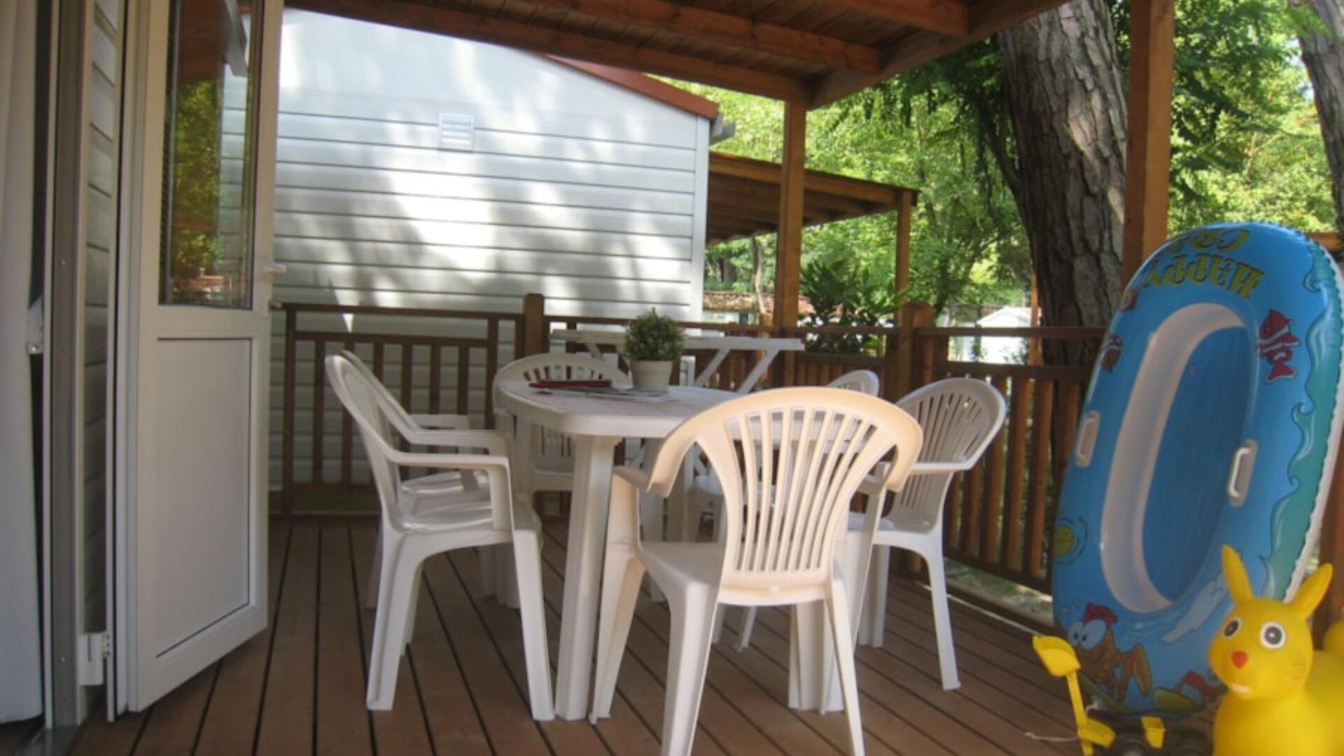 Immagine in primo piano allegata alla pagina