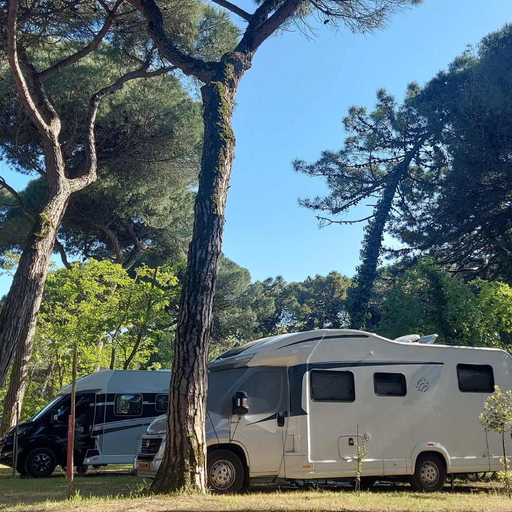 Immagine cover del menu