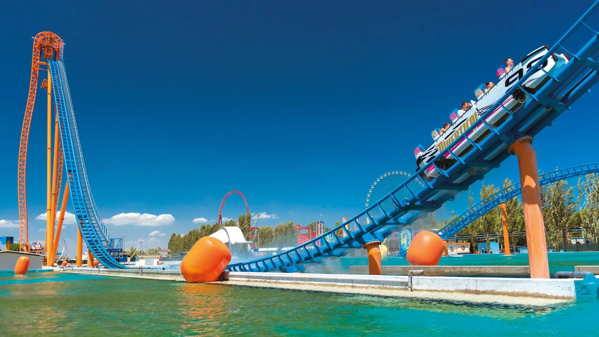 Immagine in primo piano allegata alla pagina