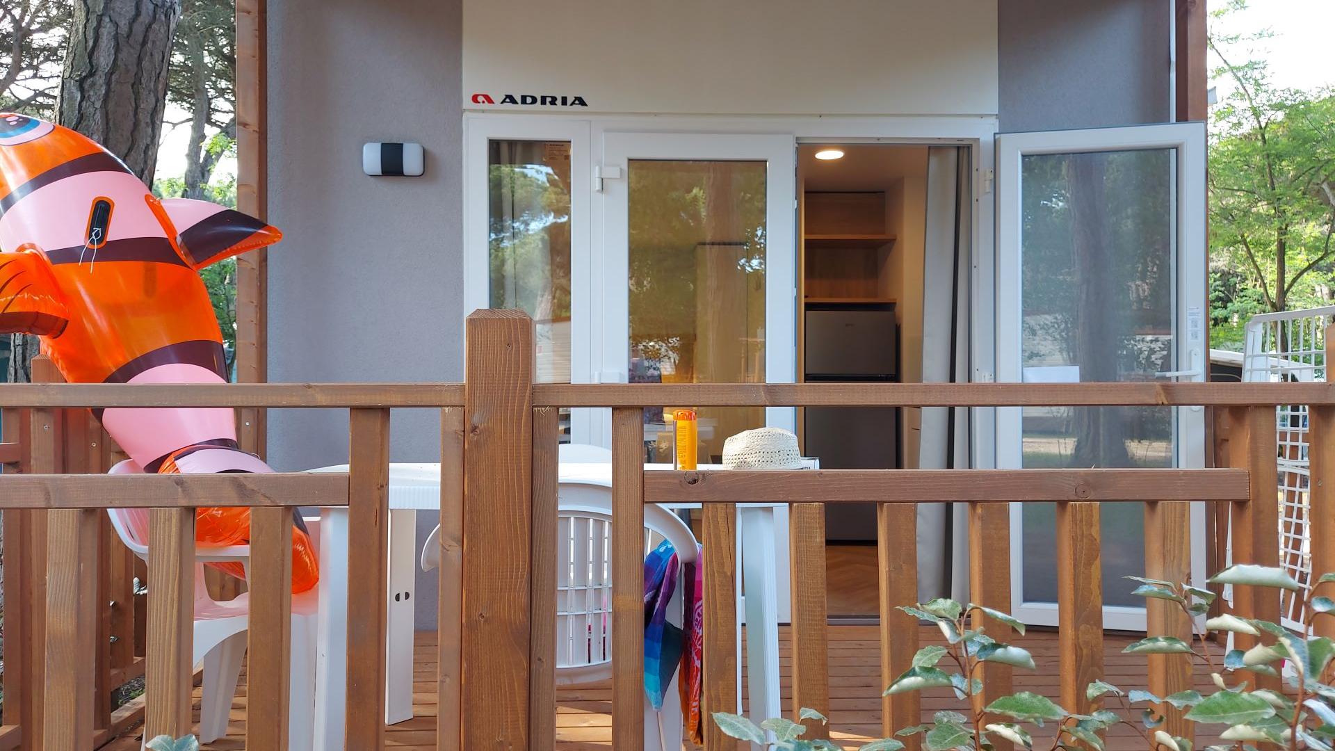 Immagine in primo piano allegata alla pagina