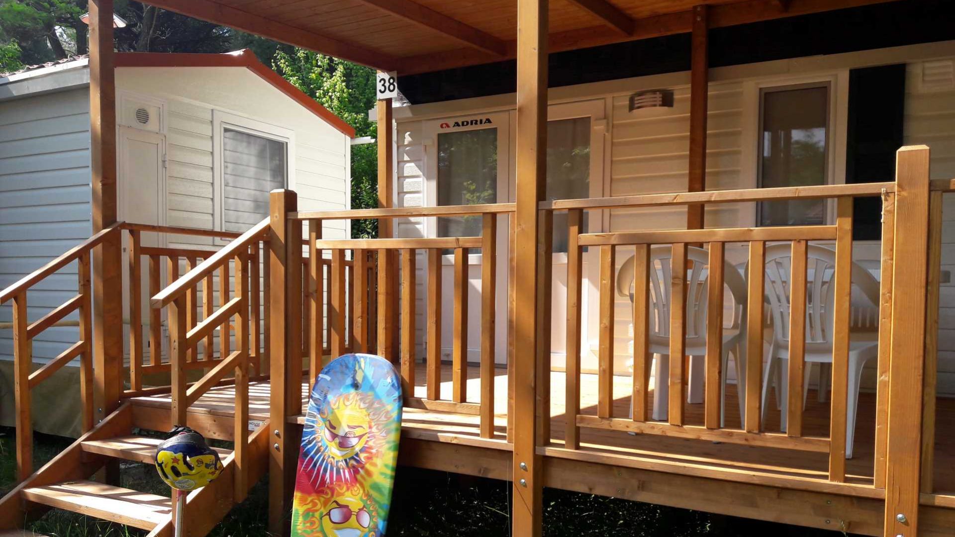 Immagine in primo piano allegata alla pagina