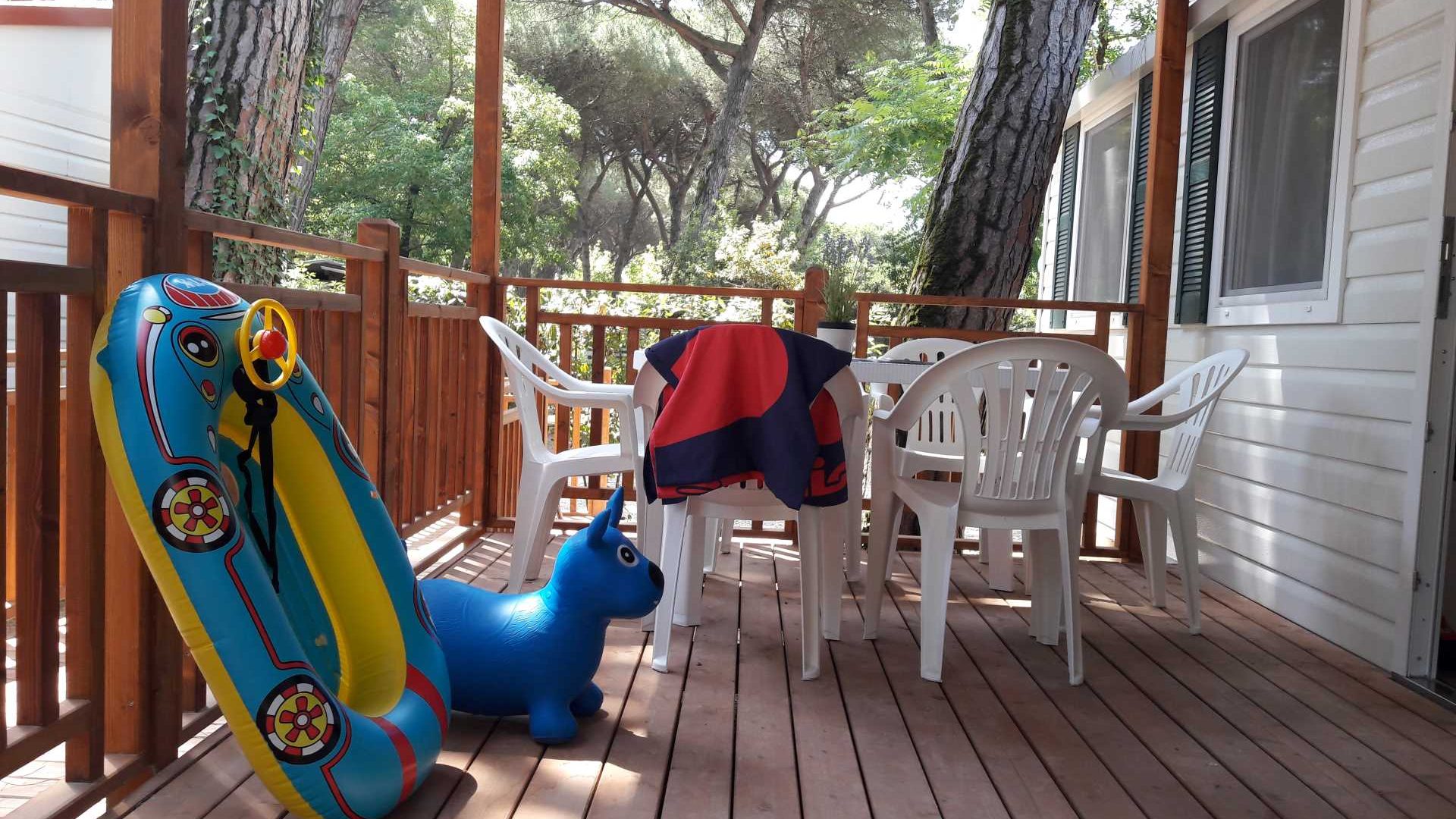 Immagine in primo piano allegata alla pagina