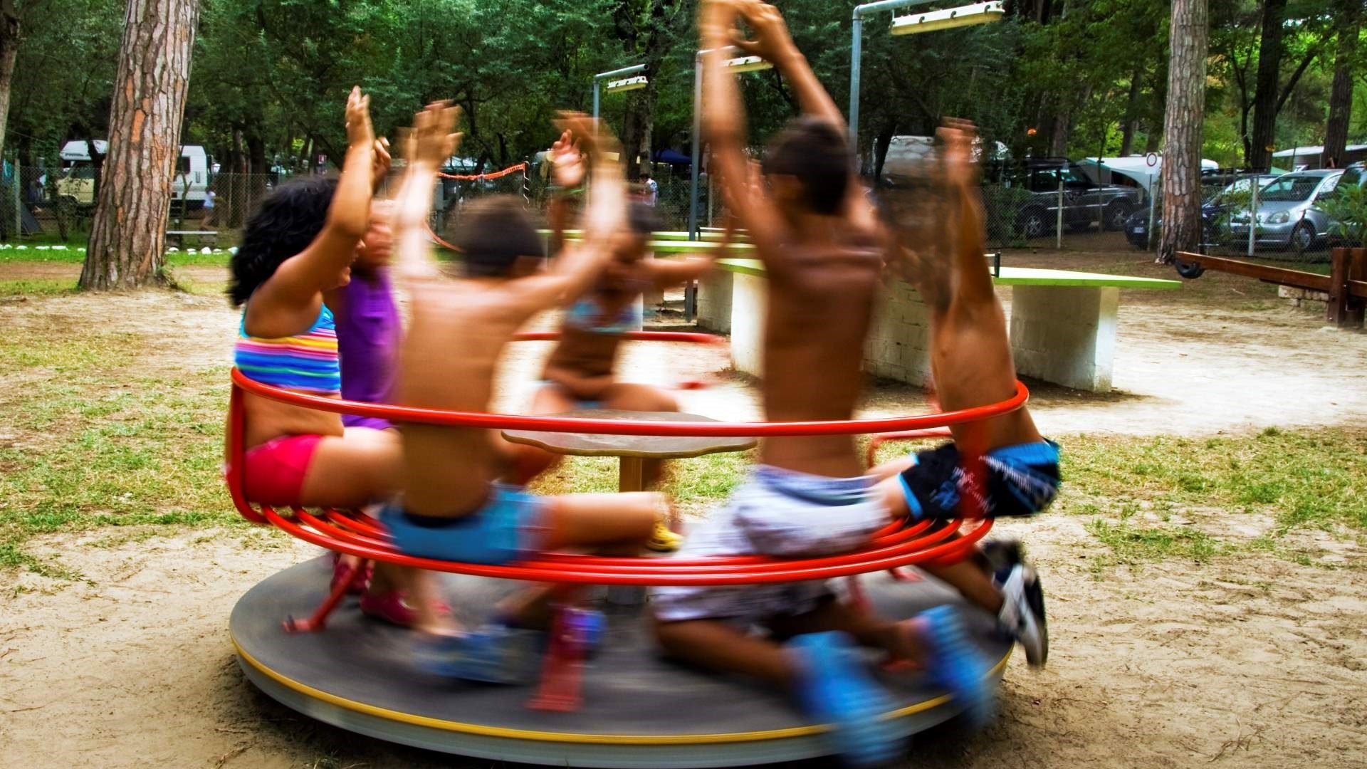 Immagine in primo piano allegata alla pagina