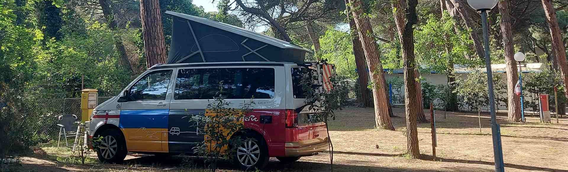 Immagine in primo piano allegata alla pagina