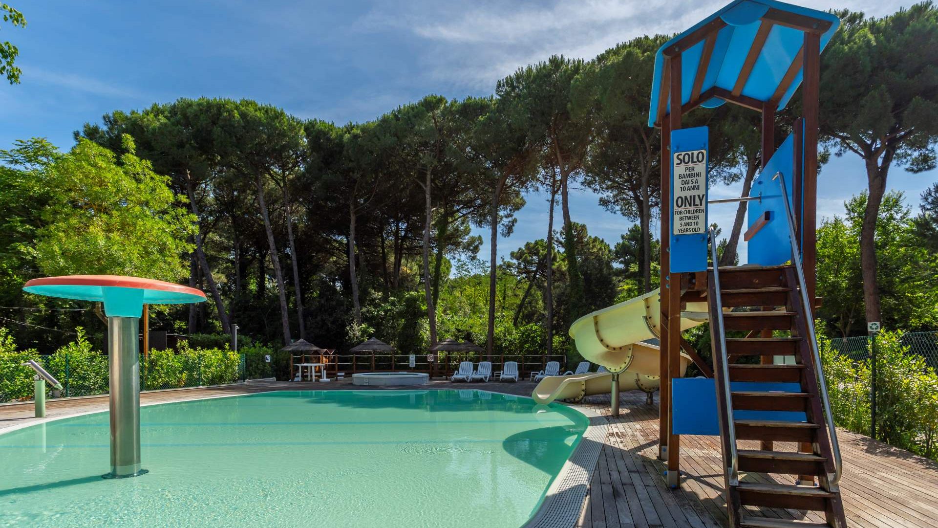 Immagine in primo piano allegata alla pagina