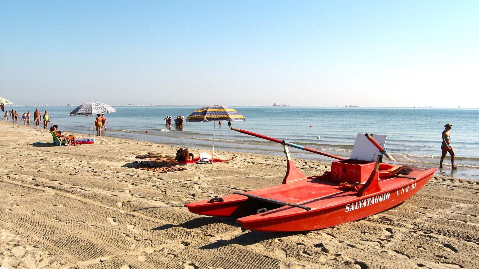 Immagine in primo piano allegata alla pagina