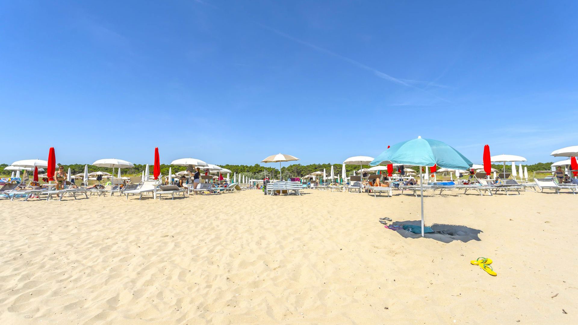 Immagine slide 5 della sezione in primo piano: ""