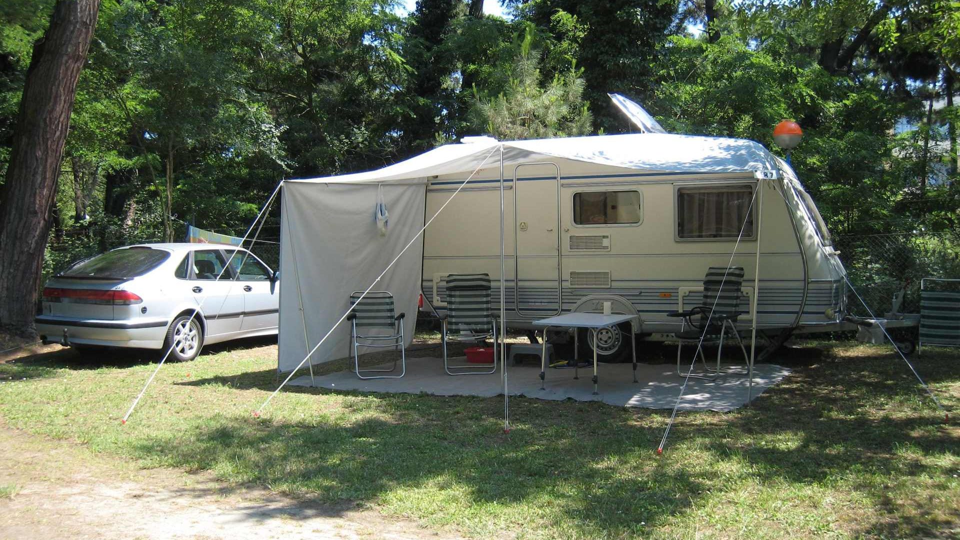 Immagine in primo piano allegata alla pagina