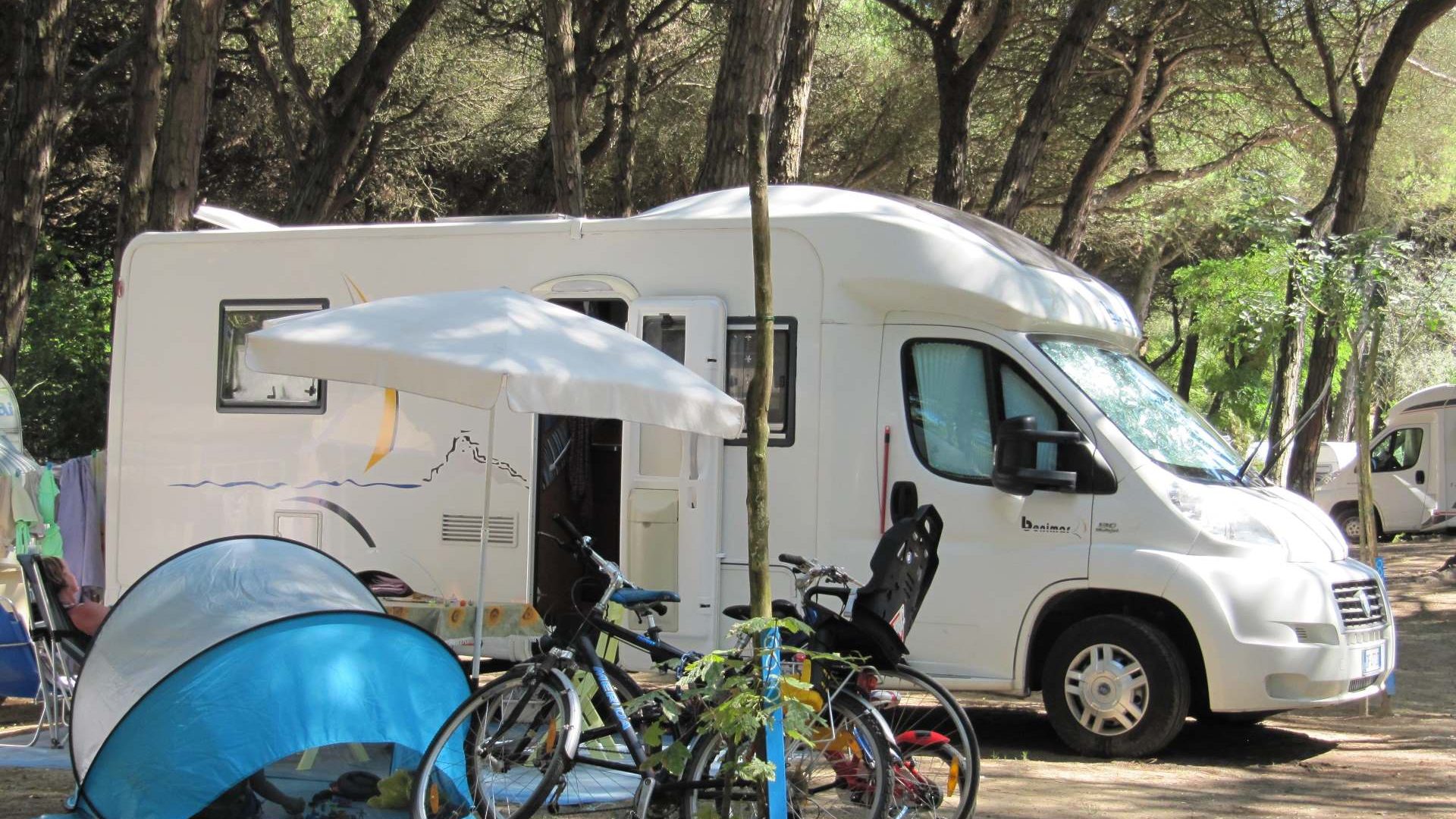 Immagine in primo piano allegata alla pagina