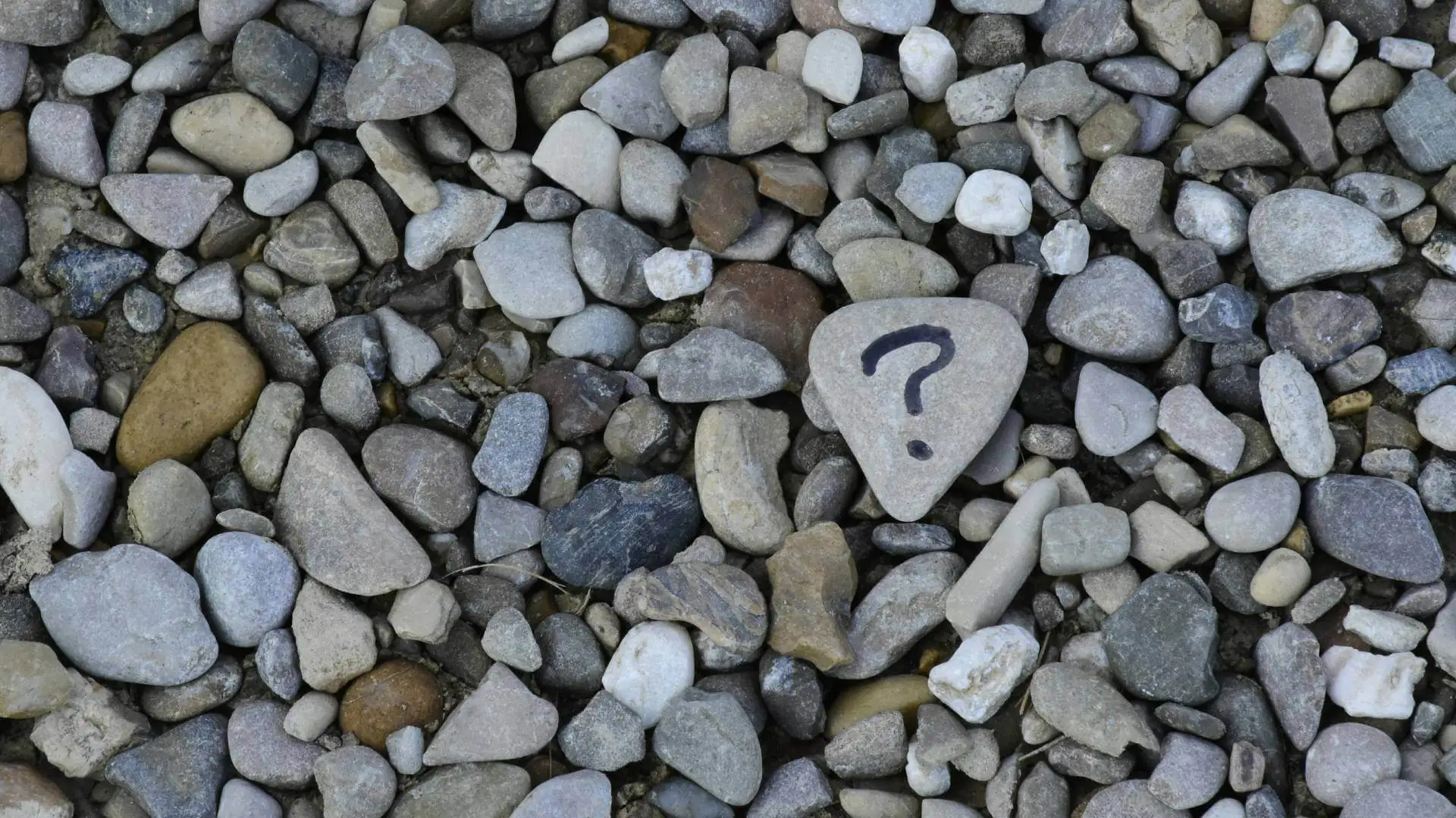 Immagine in primo piano allegata alla pagina